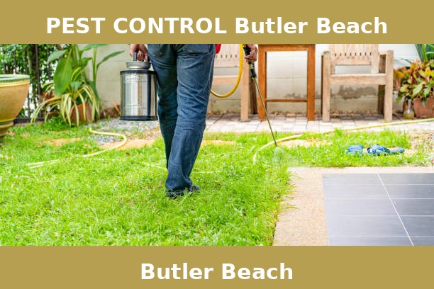 PEST CONTROL Butler Beach